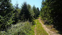 P1110948.JPG Photo