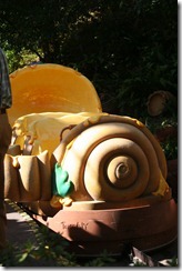 IMG_6846 IMG_6846