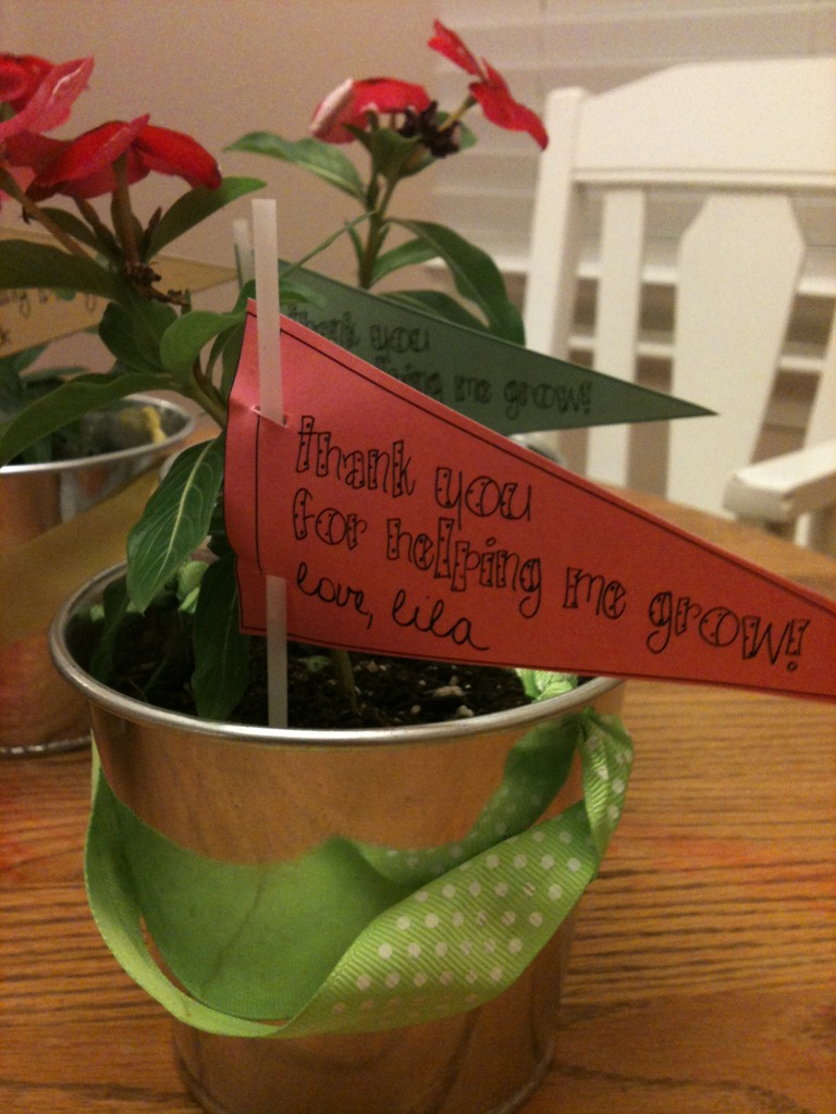 [flowers-2%255B6%255D.jpg]