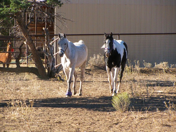 [IMG_7043%255B5%255D.jpg]
