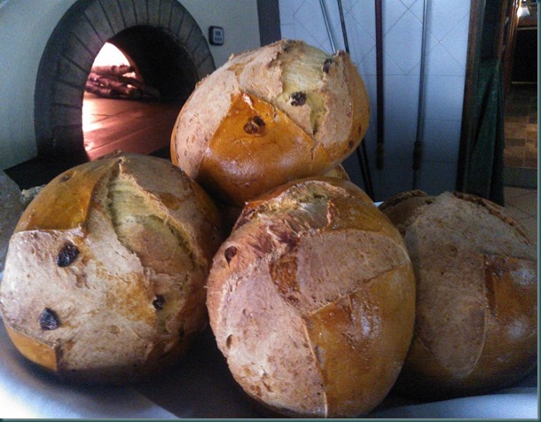 pagnotta pasquale accademia del tartufo pagnotta pasquale accademia del tartufo