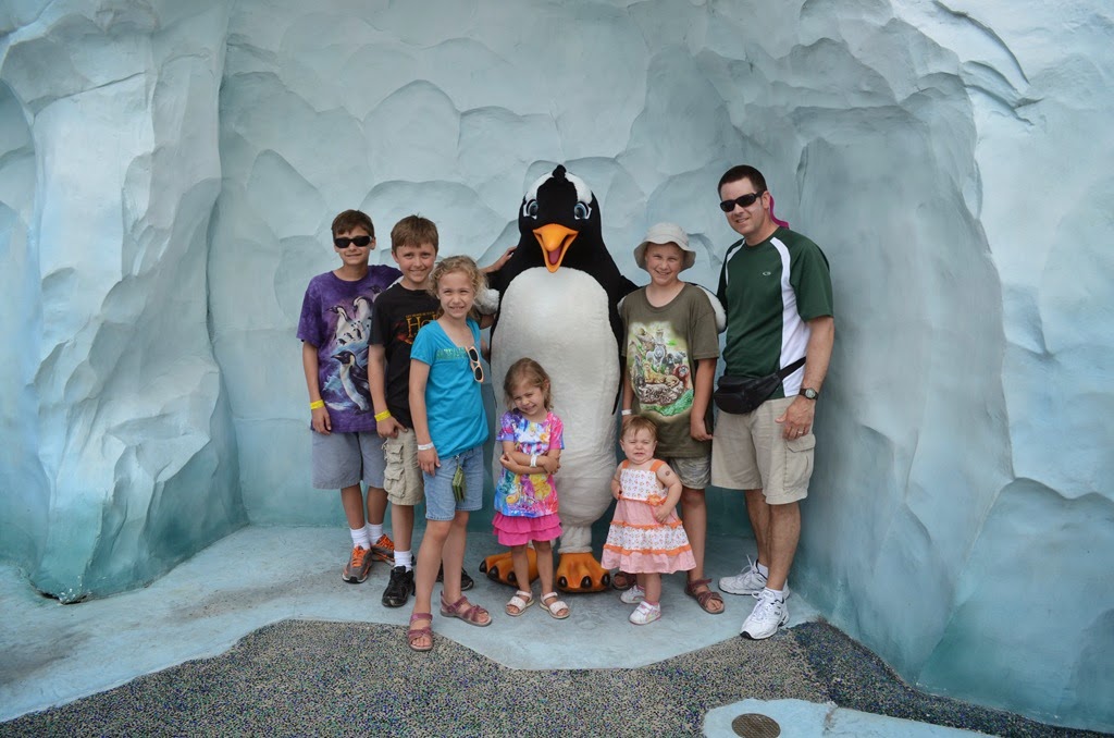 [DSC_9084%255B3%255D.jpg]