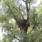 DSCN9676.JPG