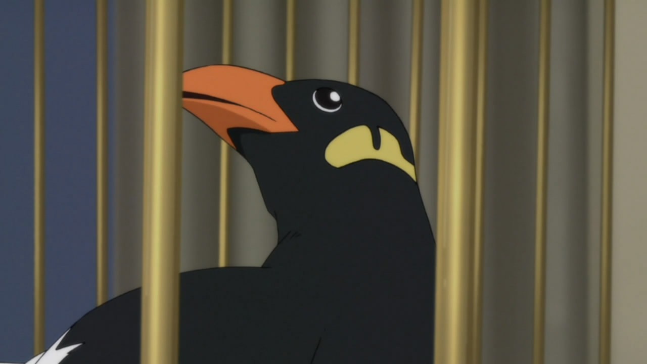 [%255BHorribleSubs%255D%2520Inu%2520X%2520Boku%2520Secret%2520Service%2520-%252008%2520%255B720p%255D.mkv_snapshot_12.05_%255B2012.03.01_16.08.54%255D%255B2%255D.jpg]