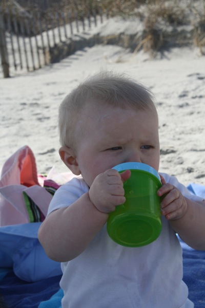 IMG_4601.jpg IMG 4601