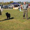 IMG_3137.JPG