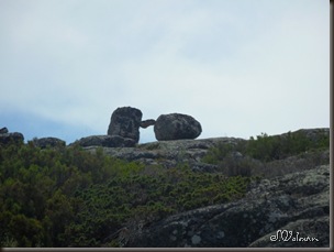 SAM_0708 SAM_0708