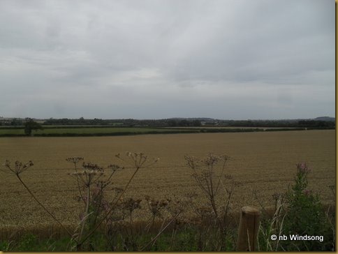 SDC11148
