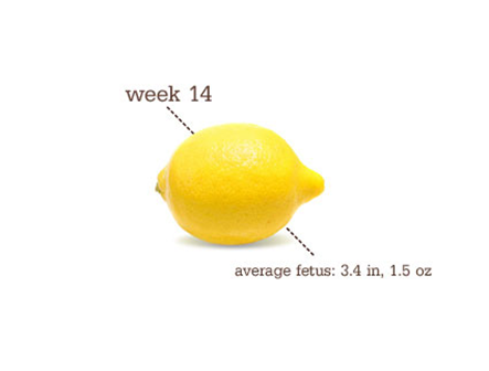 week 14