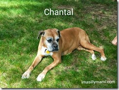 Chantal Chantal