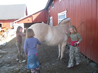 main5f64.jpg
