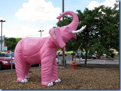 9921 Madison, Tennessee - Pink Elephant
