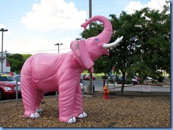 9921 Madison, Tennessee - Pink Elephant 9921 Madison, Tennessee - Pink Elephant