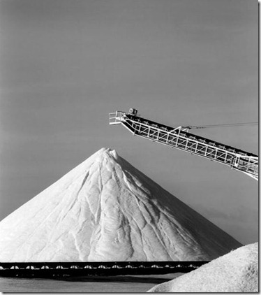 Salt Harvest No 3- Bonair