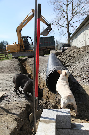 Look Sharkey, they've already dug a trench.  This area is on a downhill slope so the trench has been dug according to the natural arc of the land.