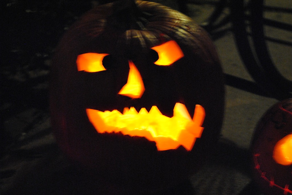 [DSC_7484%255B4%255D.jpg]