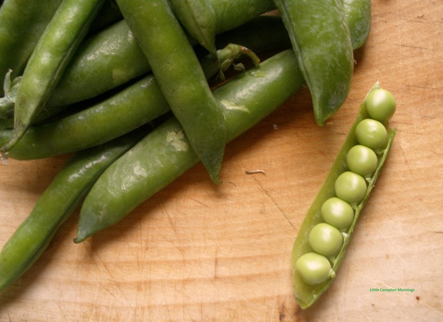 [Peas2%255B1%255D.jpg]