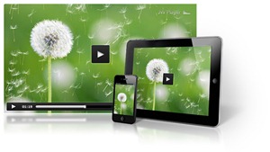 jwplayer video_players_jw5 jwplayer video_players_jw5