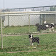 100_0680.JPG