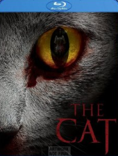 cat cat