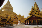 DSC01559.JPG