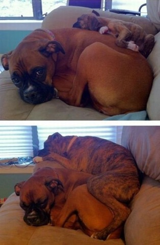 [viral-picdump-pics-f8c1fd%255B2%255D.jpg]