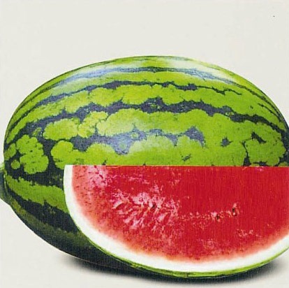 [New-S101-Water-Melon-Seed-Hybrid-F1-%255B5%255D.jpg]