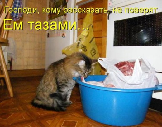[d19dfdef9d0d33a01aa871dc1be_prev%255B4%255D.jpg]