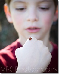 Solano County Child - Children Photography - Fairfield, CA  (5 of 7)