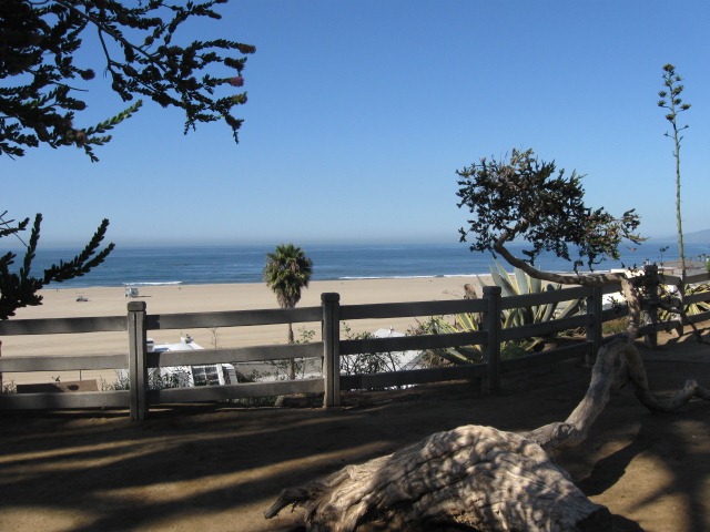 [IMG_2593%255B3%255D.jpg]