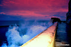 DSC_1597-2ll.JPG