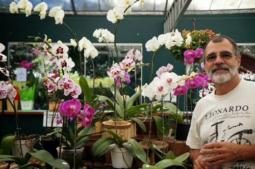 [Orquidea4%255B3%255D.jpg]