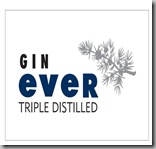 Logo Gin Ever