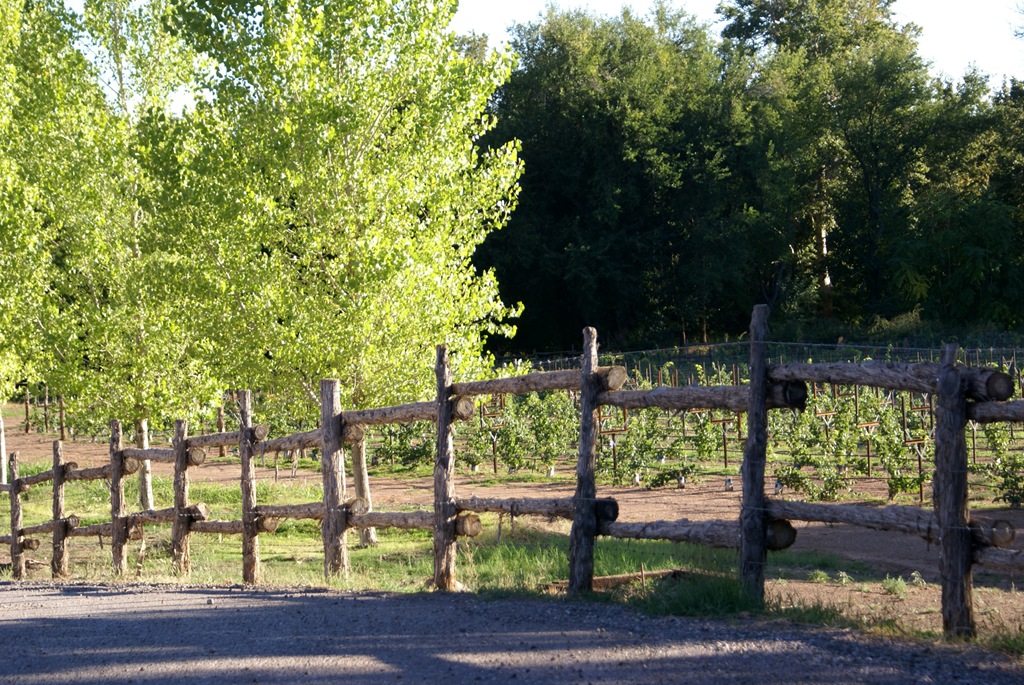 [fence748%2520copy.jpg]