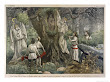 Damblans Eugene In A Forest