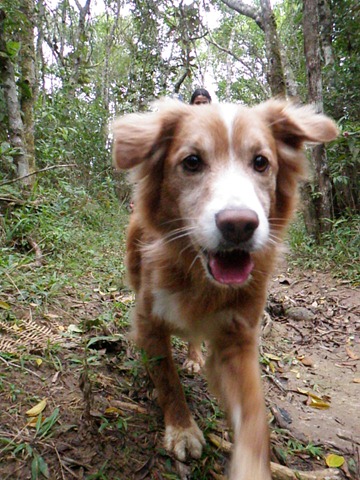 [Patas%252022%2520%252862%2529%255B4%255D.jpg]