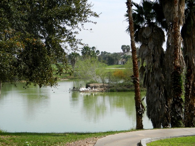 [DSCN13262.jpg]