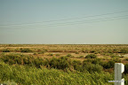 vast plains in the Kyzylkum desert