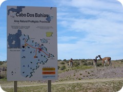 cabo dos bahias cartel cabo dos bahias cartel