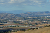 DSC_7336.jpg
