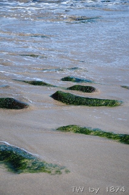 [DSC_6056%255B8%255D.jpg]