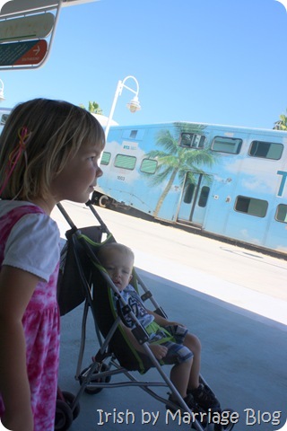 IMG_0767 IMG_0767