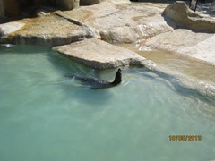 IMG_3323 IMG_3323