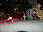DSCN5471.JPG