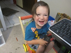 IMG_7992 IMG_7992