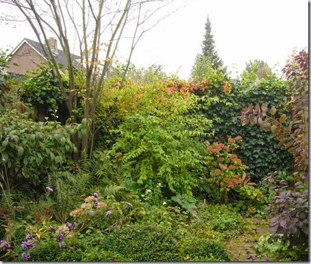 tuin-2 tuin-2