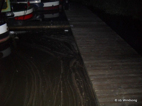 [SDC114894.jpg]
