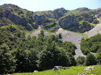 IMG_1422.JPG Photo