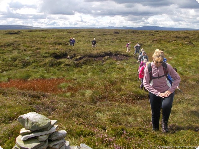 summit of The Dodd