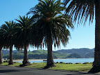 Sprachaufenthalt Whitianga